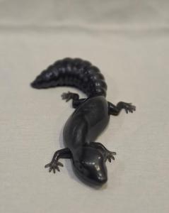 Salamander